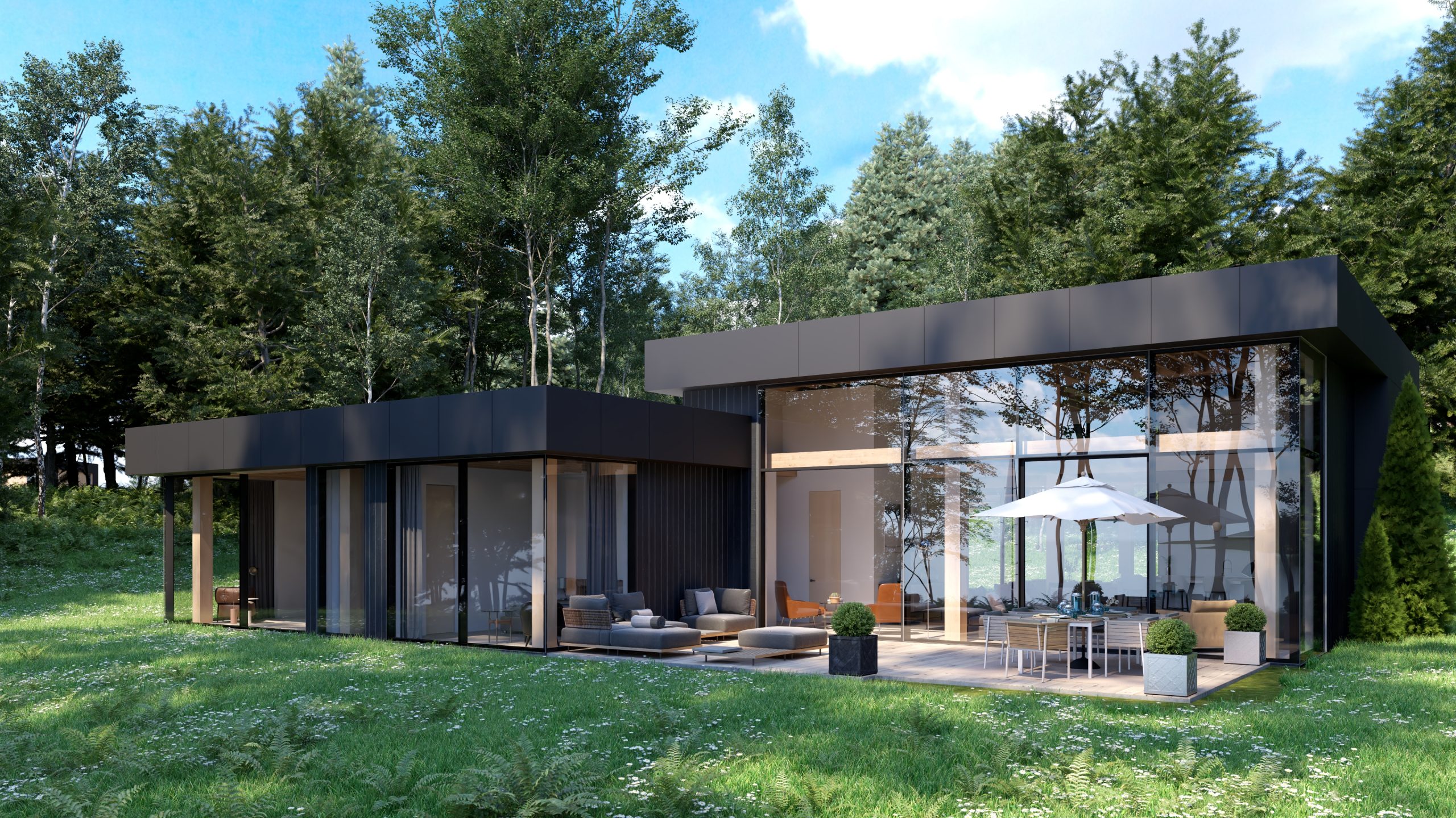 MaisonBV_Sommet_des_Faucons_Model02_Cam01_3